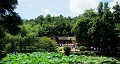 長沙出發(fā)到花明樓、韶山、張家界國家森林公園、天門仙山國家森林公園四日游